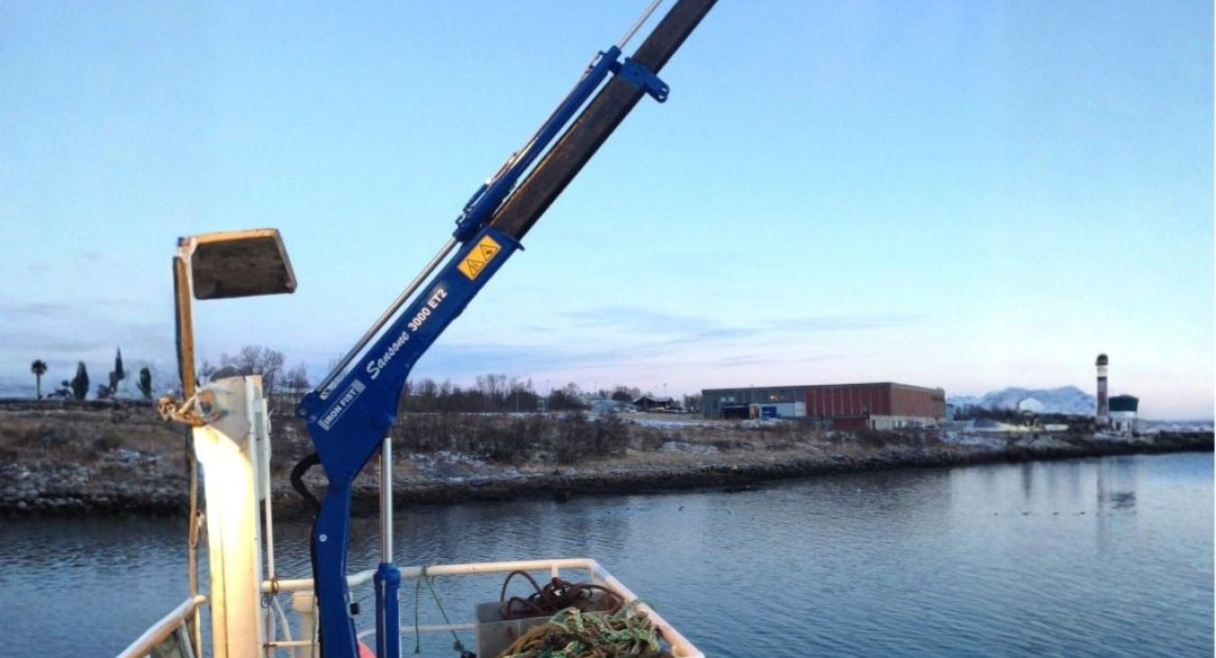 Mini telescopic boom cranes